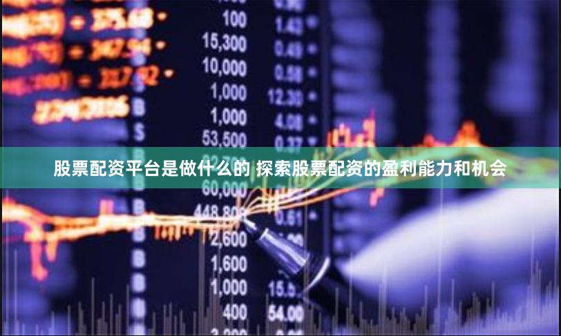 股票配资平台是做什么的 探索股票配资的盈利能力和机会